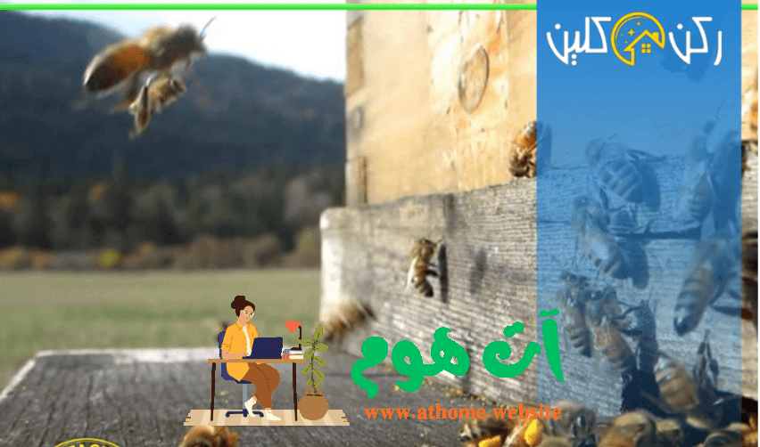 ScreenShot-Tool-20250817132015 أفضل شركة مكافحة النحل بالرياض بخدمات سريعة وآمنة 2025