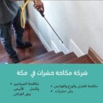 شركة مكافحة حشرات بمكة