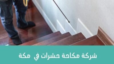 شركة مكافحة حشرات بمكة