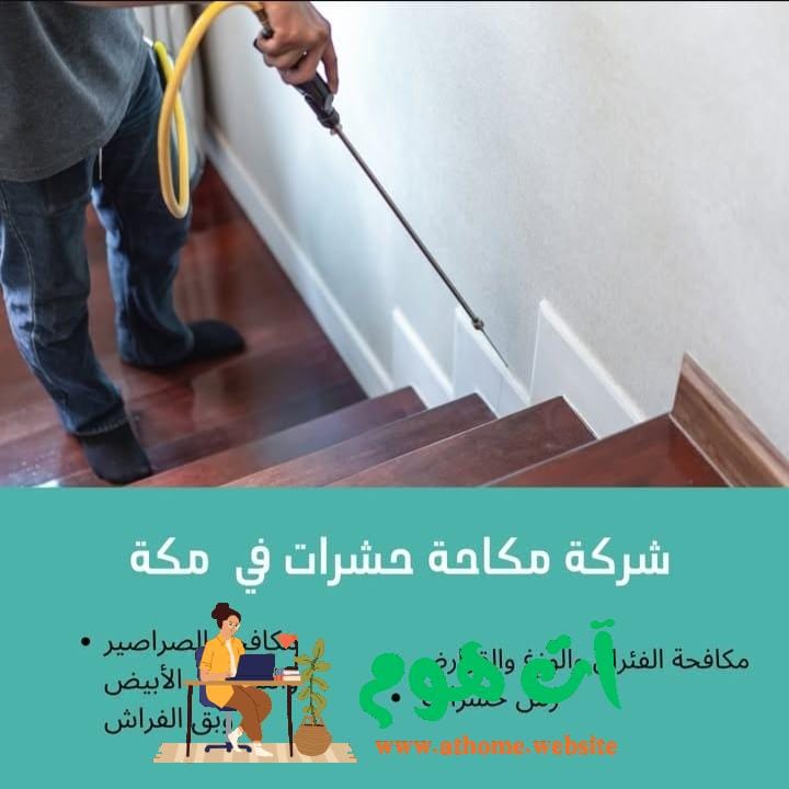 شركة مكافحة حشرات بمكة