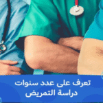 الدراسة في مصر