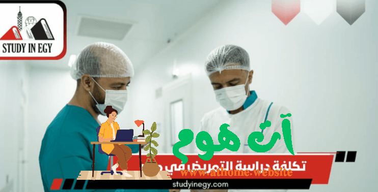 التعليم في مصر