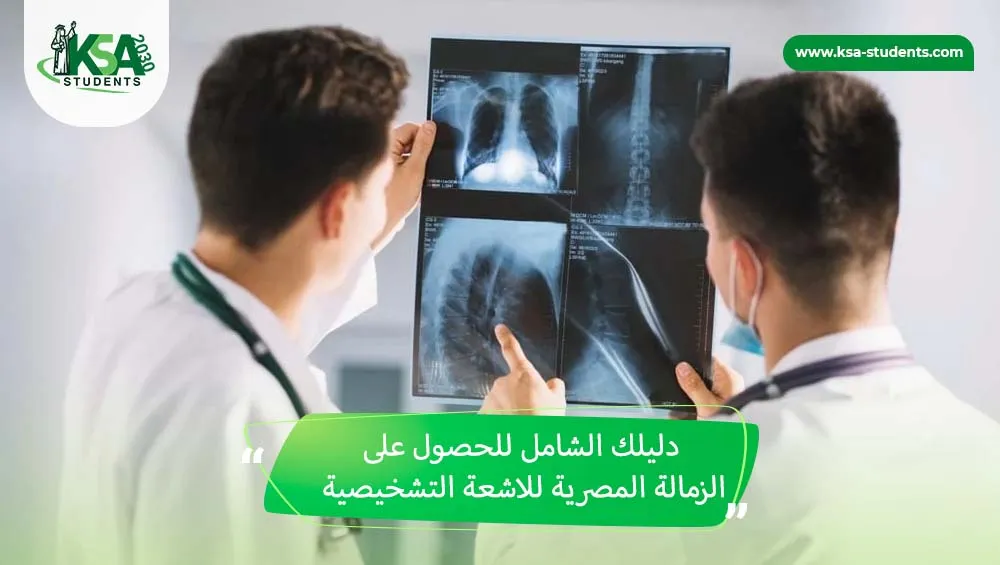 الدراسة في مصر