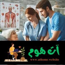 الدراسة في مصر