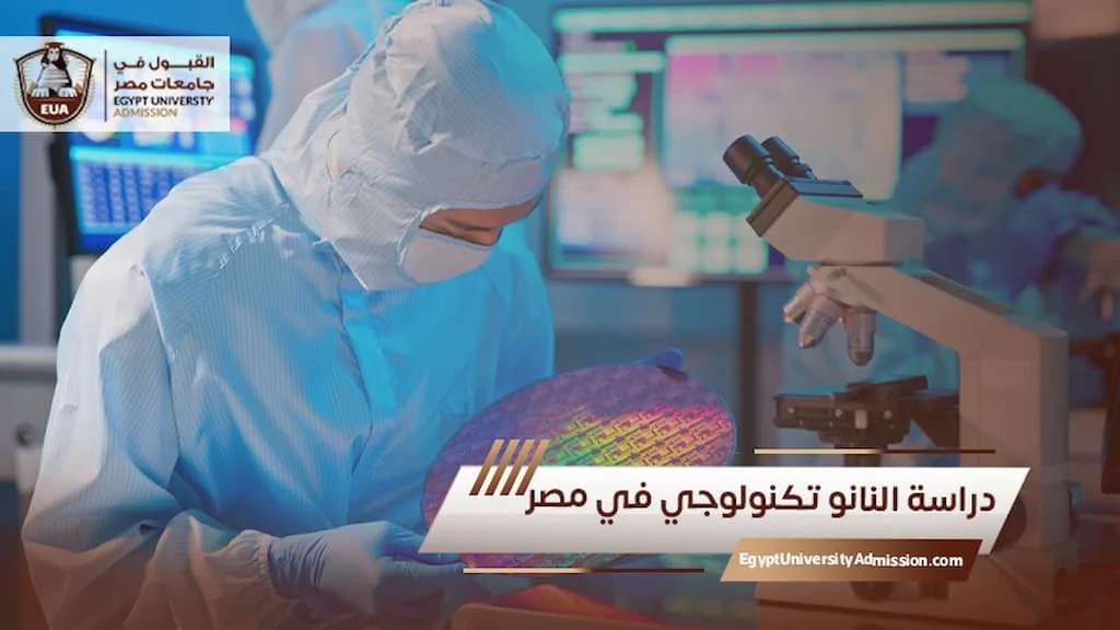 الدراسة في مصر